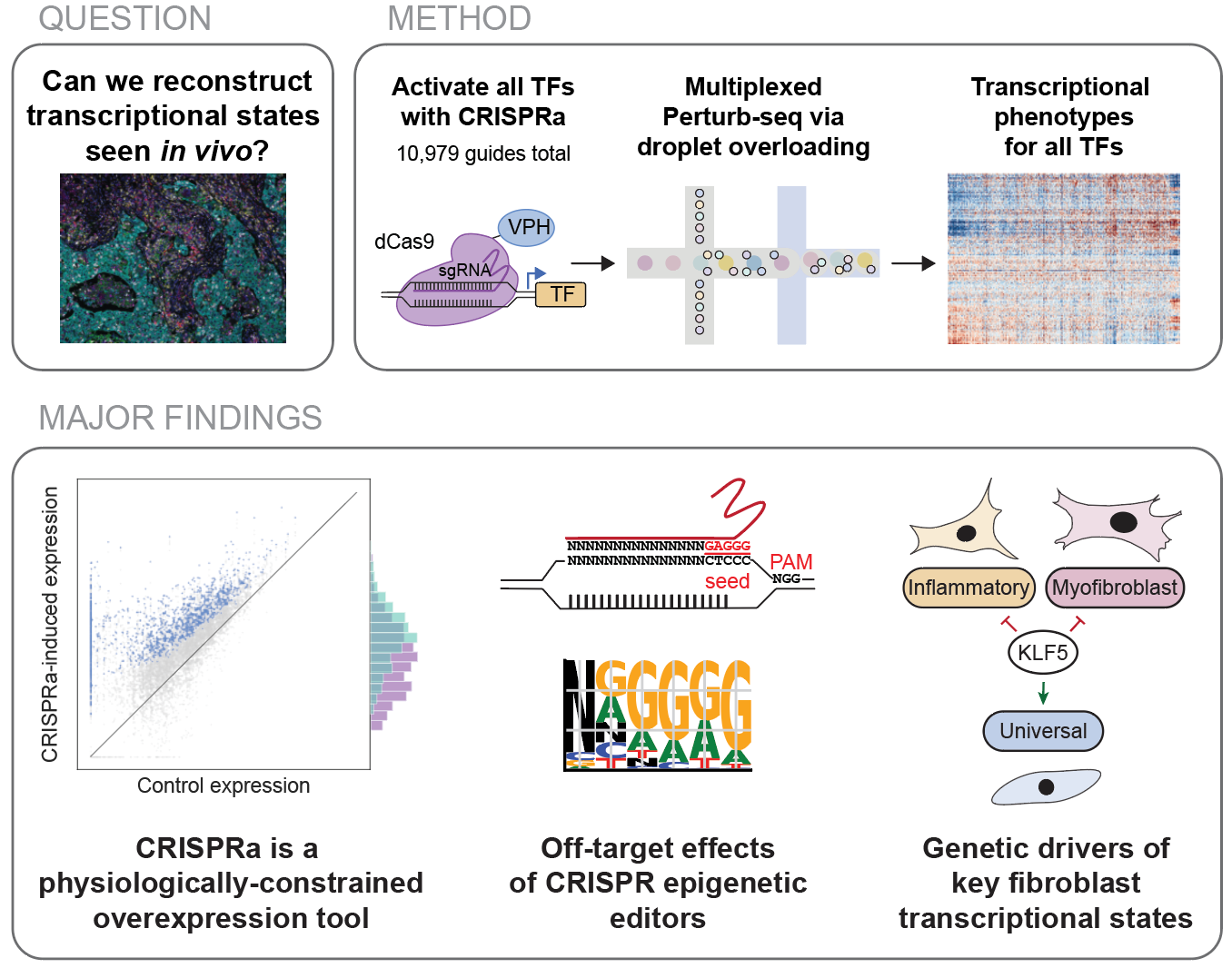 Comprehensive transcription factor perturbations recapitulate fibroblast transcriptional states