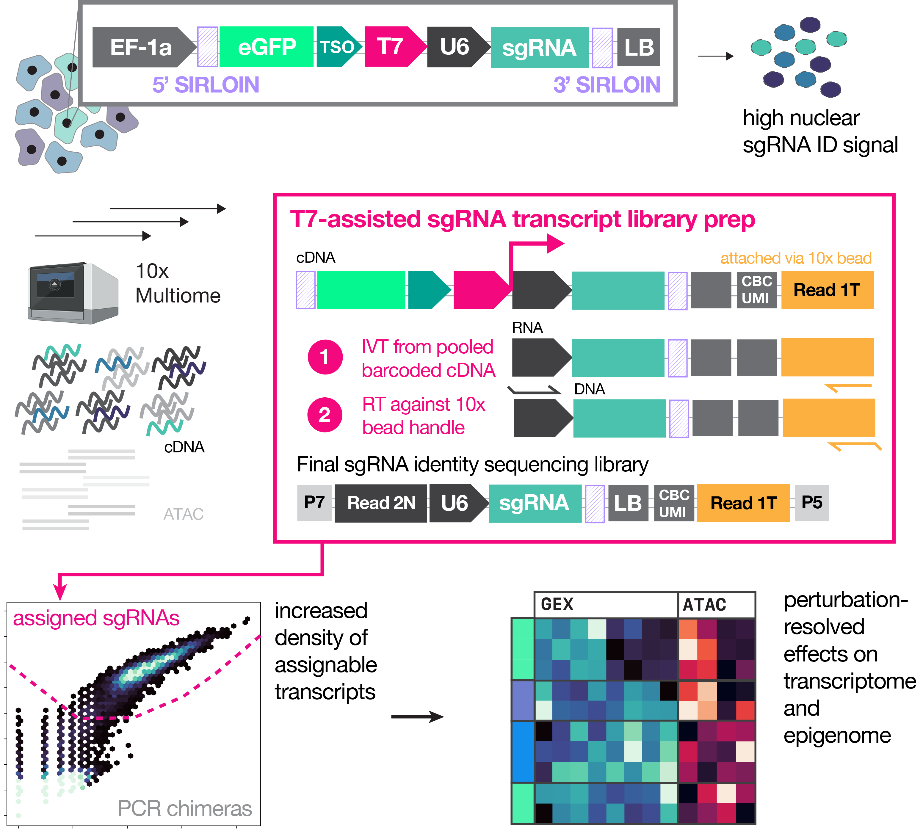 Multiome Perturb-seq unlocks scalable discovery of integrated perturbation effects on the transcriptome and epigenome